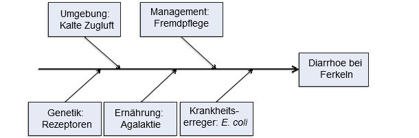 Modell der Krankheitsursachen unter Berücksichtigung von fünf Faktoren 