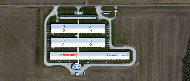 6000er Sauenbetrieb mit Eigenremontierung (Teil eines 15.000 Sauensystems).