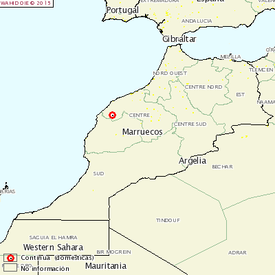 MKS Marokko
