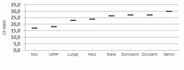 Nachweis der Verteilung des Virus in Geweben von Ferkeln, die an ETNL erkrankt waren, durch quantitative PCR.