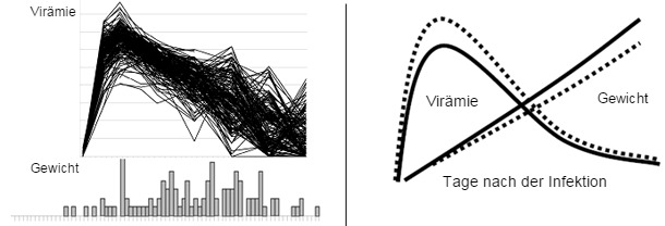 PRRSV disease phenotypes at the population level and The favorable effect of the beneficial marker in SSC4 on weight gain and viremia in young pigs