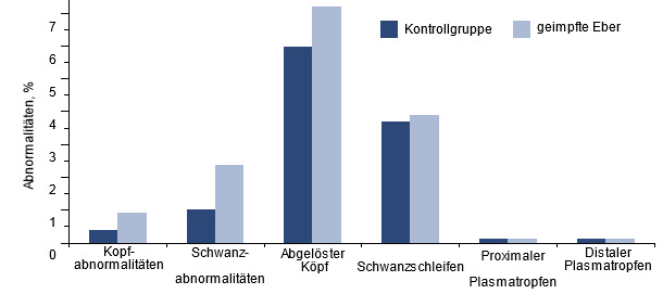 Auswirkung der PCV2-Impfung bei PCV2-positiven Ebern auf die Spermienmorphologie