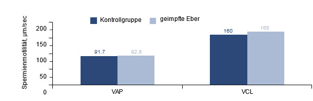 Auswirkung der PCV2-Impfung bei PCV2-positiven Ebern auf die Spermienmotilität