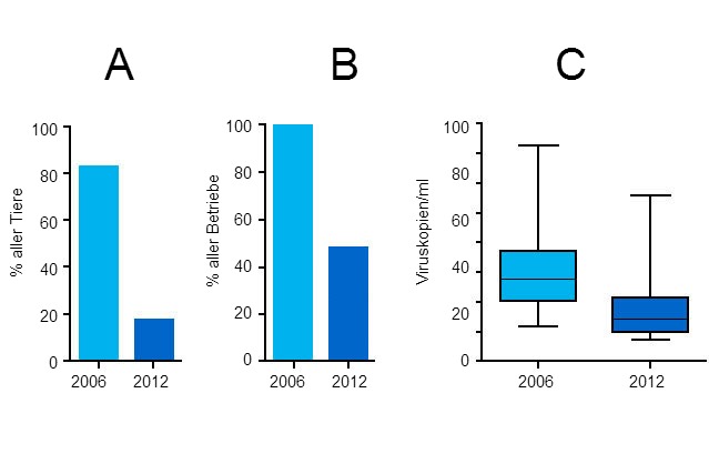 Grad der PCV2-Virämie 2006 und 2012