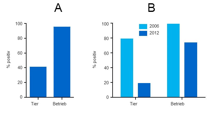 PCV2-Antikörper im Serum von Mastschweinen 2006 und 2012