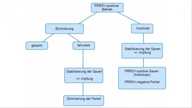 Abbildung 1: Schematische Darstellung der verschiedenen Ans&auml;tze bei PRRSV-positiven Betrieben
