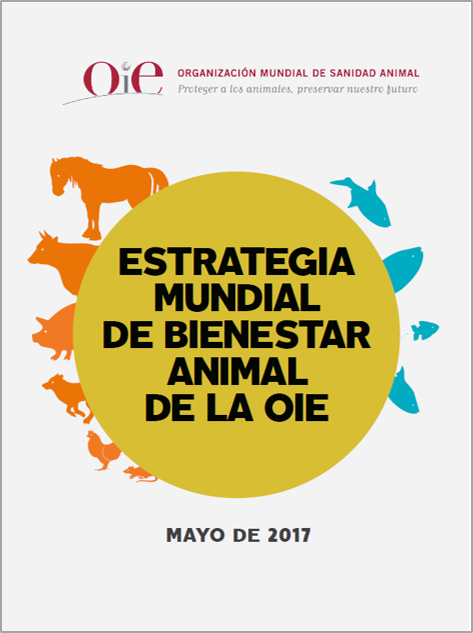 <p>globale Tierwohlstrategie&nbsp;OIE 1</p>
