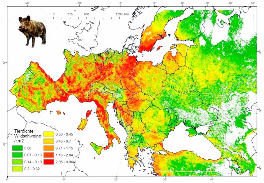 geschatzte-eberpopulation-in-europa_1203