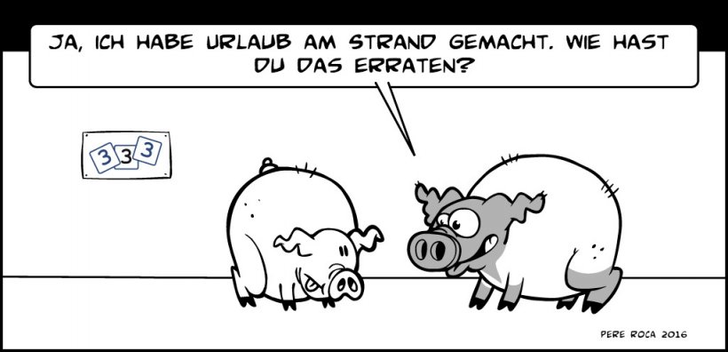Na Schonen Urlaub Gehabt Humor 3drei3 De Alles Uber Schweine