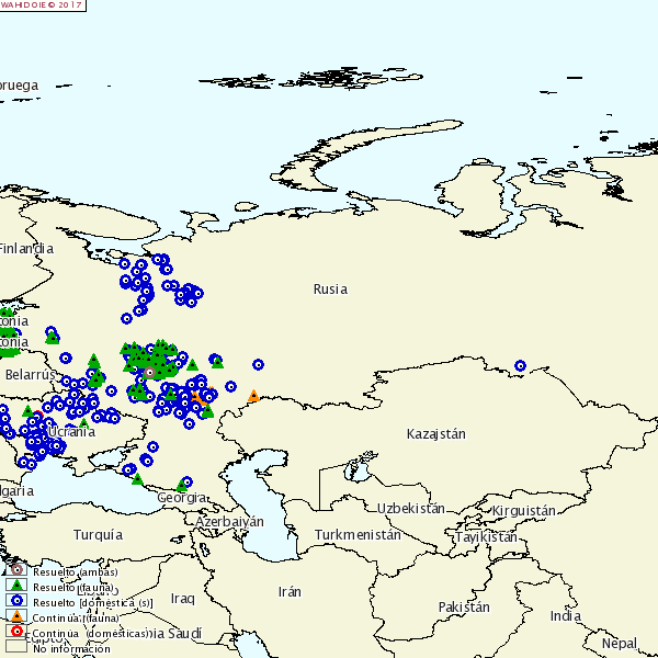 <p>ASP in Russland</p>
