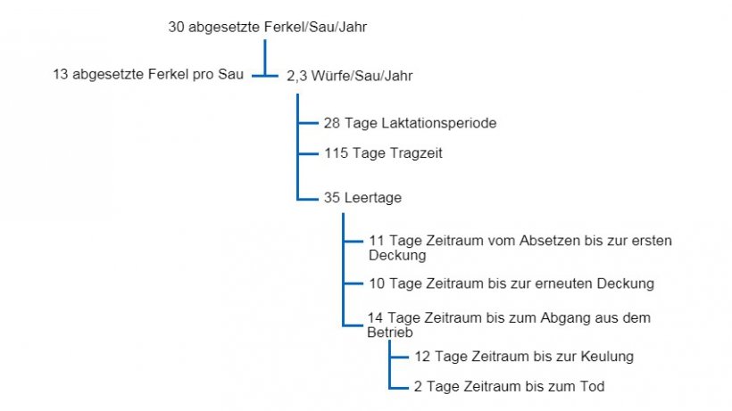 Abbildung 1: Beziehung zwischen Leertagen und anderen Leistungsfaktoren in einem Baumdiagramm zur Produktivit&auml;t f&uuml;r 30 Schweine, die pro Sau und Jahr abgesetzt werden.
