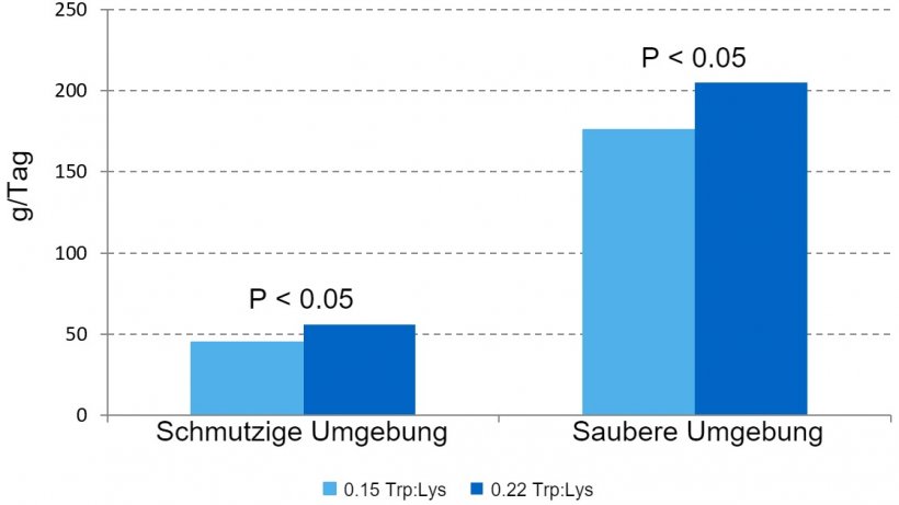 Abbildung 1: Auswirkungen des Trp-Lys-Verh&auml;ltnisses im Futter auf die Wachstumsrate in der Prestarter-Futterphase in zwei verschiedenen Umgebungen.
