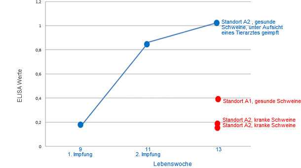 Grafische Darstellung der durschnittlichen ELISA Werte für die jeweilige Tiergruppe