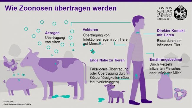 Abbildung 1. Übertragungswege von Zoonosen. Zoonosen sind Infektionskrankheiten, die vom Tier auf den Menschen, aber auch vom Menschen auf das Tier übertragen werden können. Quelle: London School of Hygiene and Tropical Medicine.