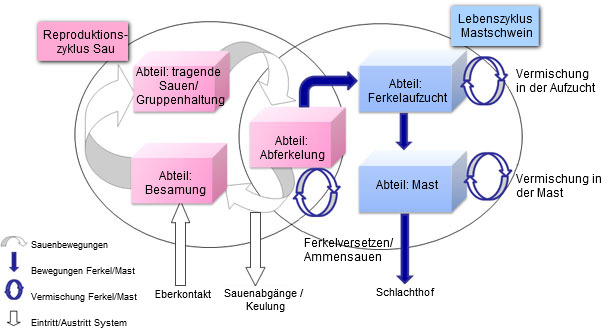 Dynamisches Populationsmodell