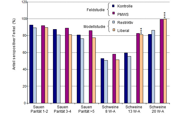 Vergleich der Ergebnisse (PCV-2 Seroprävalenz): Modellstudie vs. Feldstudie