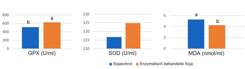 Die F&uuml;tterung enzymatisch behandelter Soja mit niedrigem Sojaantigengehalt f&uuml;hrte am Tag 14 nach dem Absetzen zu h&ouml;heren Plasmakonzentrationen von antioxidativen Enzymen und niedrigerem Malondialdehyd (MDA), einem Marker f&uuml;r oxidative Sch&auml;den, im Vergleich zur F&uuml;tterung von Sojaschrot mit einem h&ouml;heren Antigengehalt (Ma et al., 2018).
