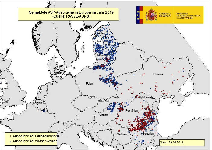 Karte der ASP-Ausbr&uuml;che in der EU und der Ukraine im Jahr 2019

