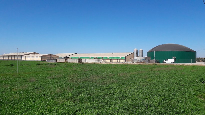 Abbildung 2: Schweinebetrieb in der Region Segri&agrave; (Lleida, Spanien) mit Biogaserzeugung f&uuml;r den Eigenverbrauch in Form von thermischer und elektrischer Energie
