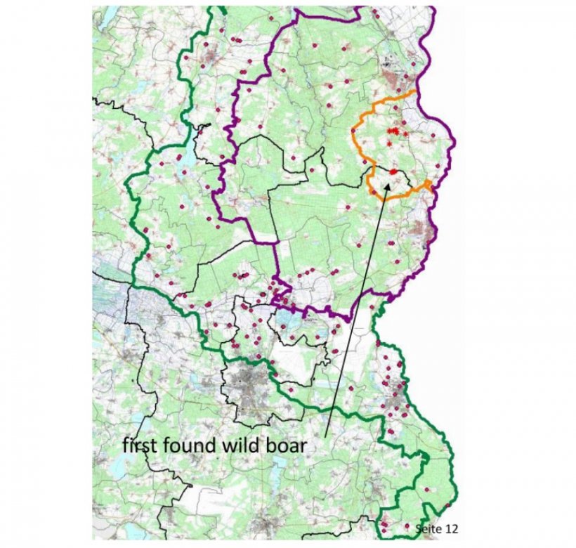 Die nachstehende Karte zeigt die Grenzen des Kerngebiets (gelb), des gef&auml;hrdeten Gebiets (violett) und der Pufferzone (gr&uuml;n) sowie die Fundorte der infizierten Wildschweine (Sternchen) und die Lage der Schweinehaltungsbetriebe (rote Punkte). Quelle: MAPA
