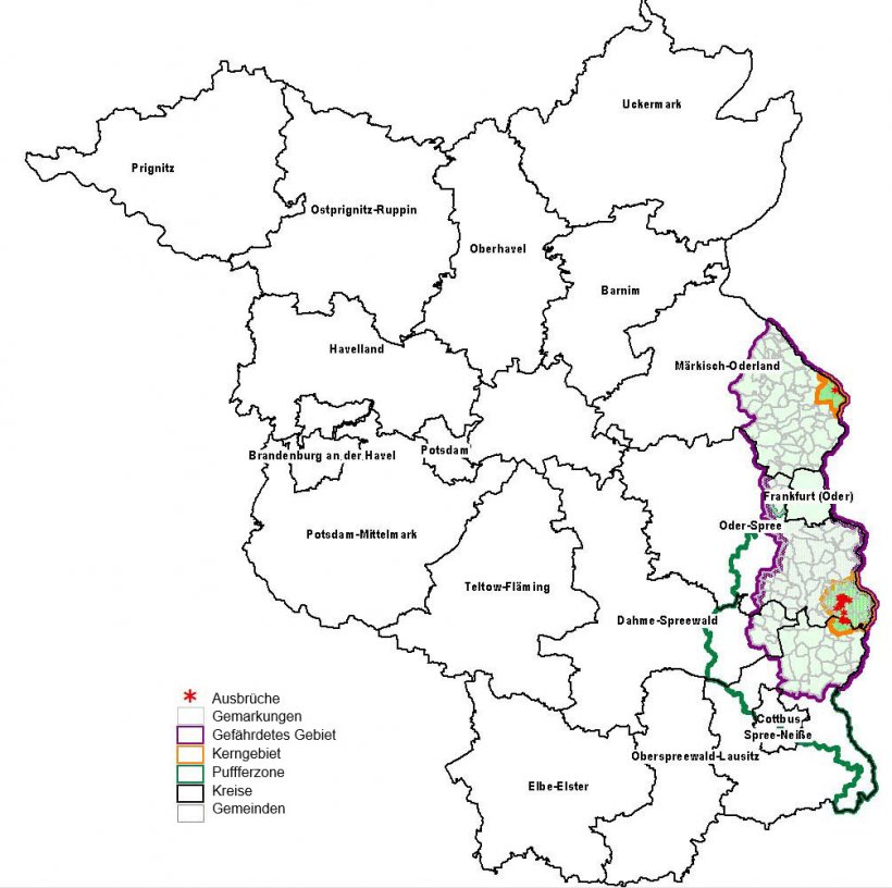Afrikanische Schweinepest Gefahrdetes Gebiet Ausgeweitet Branchennews 3drei3 De Alles Uber Schweine