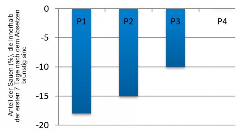Abbildung 3: Auswirkung der Parit&auml;t auf den Anteil der Sauen, die innerhalb der ersten 7 Tage nach dem Absetzen der Ferkel im Sommer im Vergleich zum Fr&uuml;hjahr in Brunst kommen (nach Belstra et al., 2004).
