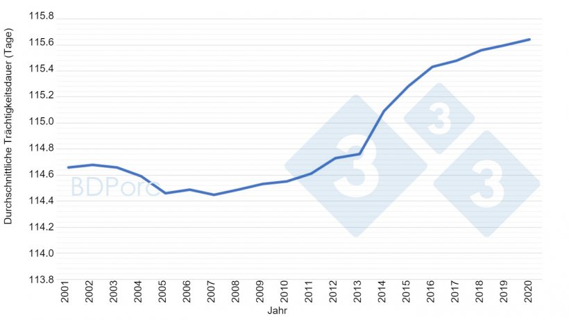 Grafik 2: Durchschnittliche Tr&auml;chtigkeitsdauer von Sauen in Spanien von 2001 bis 2020. Quelle: BDPorc.
