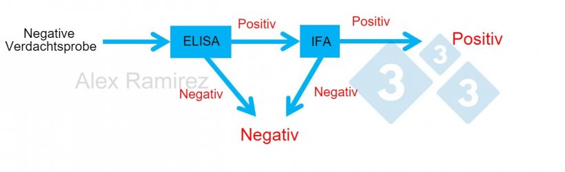 Diagramm zur Veranschaulichung des Einsatzes eines PRRSV-IFA als Best&auml;tigungstest bei unerwartet positiven Testergebnissen aus PRRSV-ELISA-Tests. Eine negative Verdachtsprobe, die ein negatives ELISA-Testergebnis ergab, gilt als negativ. Wenn diese Probe unerwartet positiv getestet wird, kann ein PRRSV-IFA als Best&auml;tigungstest durchgef&uuml;hrt werden. Das hei&szlig;t, wenn der IFA-Test positiv ist, best&auml;tigt dies, dass die Probe positiv ist. Wenn der IFA-Test negativ ist, w&uuml;rden wir davon ausgehen, dass es sich um ein falsch positives Ergebnis handelt, solange die PCR ebenfalls negativ ist, um zu best&auml;tigen, dass vor Kurzem keine Infektion erfolgte.
