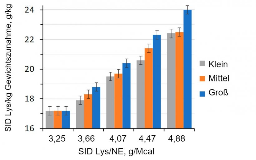 Abbildung 1: Auswirkung des Lysin-Energie-Verh&auml;ltnisses bei Mastschweinen (28-63 kg LW), klassifiziert nach Startgewicht (Aymerich et al., 2020)
