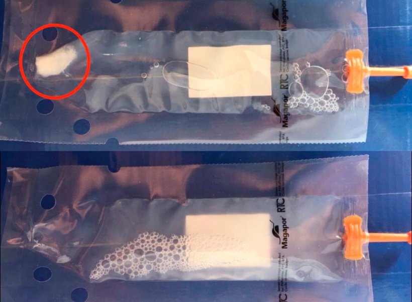 Foto 2: Oben im Bild ist eine Dosis mit sedimentiertem Sperma zu sehen, unten eine korrekt homogenisierte Dosis. Diese Homogenisierung verhindert den Verlust der Lebensf&auml;higkeit der Spermien und f&ouml;rdert eine bessere Verteilung der Spermien im Medium.
