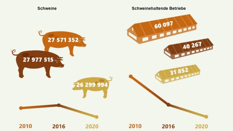 Entwicklung der schweinehaltenden Betriebe und Schweinebestände in Deutschland 2010-2020. Quelle: Destatis