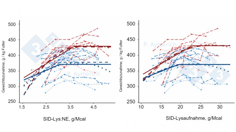 Abbildung 2: Modellierung der Auswirkungen des Lysin-Energie-Verh&auml;ltnisses und der t&auml;glichen Lysinaufnahme auf die Effizienz der Futterverwertung bei m&auml;nnlichen (rot) und weiblichen (blau) Tieren in der Endmast (Aymerich et al., 2021)
