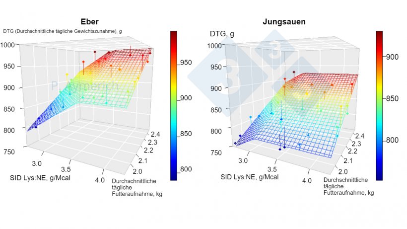 Abbildung 1: Modellierung der Auswirkungen des Lysin-Energie-Verh&auml;ltnisses und des durchschnittlichen Tagesverbrauchs bei m&auml;nnlichen und weiblichen Tieren zwischen 70 und 105 kg LG (Aymerich et al., 2020)
