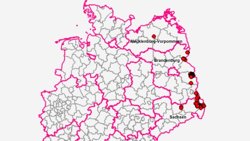 Die Afrikanische Schweinepest ist in einem Mastschweinebestand in der Region Rostock in Mecklenburg-Vorpommern nachgewiesen worden. Quelle: FLI.