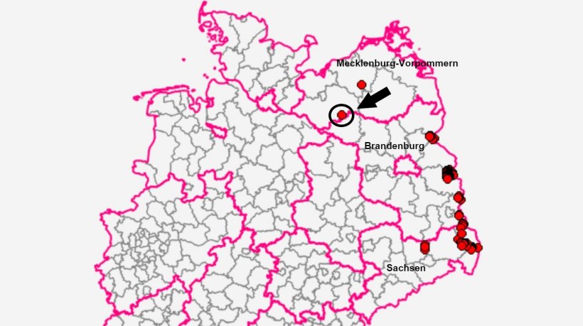 Fundort liegt im Landkreis Ludwigslust-Parchim. Quelle: TSIS.