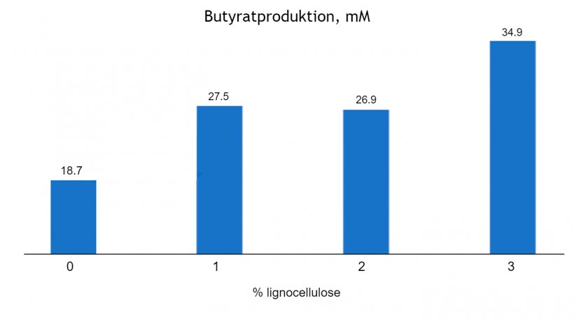 Abbildung 1: Dosisabh&auml;ngige Wirkung von Lignocellulose auf die Butyratproduktion (mM) bei Absetzferkeln im Alter von 63 Tagen (nach Silva-Guillen et al., 2022) P = 0,001, SEM = 1,810.
