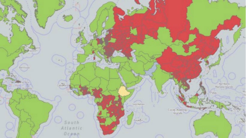 Weltweite kumulative Verbreitung der Afrikanischen Schweinepest seit 2005. Infizierte Gebiete (mindestens eine Meldung) sind rot gekennzeichnet, verd&auml;chtige Gebiete gelb und krankheitsfreie Gebiete gr&uuml;n. Quelle: WOAH
