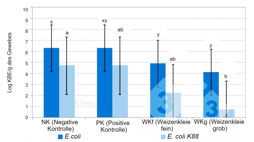 Abbildung 1: Gesamte E. coli und spezielle E. coli K88 an der Ileumschleimhaut von Absetzferkeln nach einer Infektion mit E. coli K88 (nach Molist et al. 2011). x,y: Unterschiedliche hochgestellte Buchstaben in einem Balken zeigen einen deutlichen Unterschied zwischen den Futterbehandlungen an (P &lt; 0,05).
