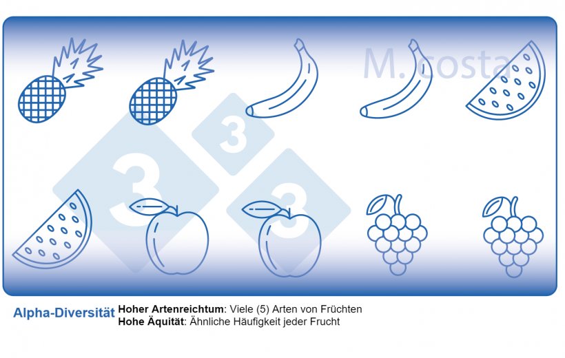 Abbildung 2: Interpretation von Messungen der mikrobiellen Diversit&auml;t innerhalb von Proben (Alpha-Diversit&auml;t). Die Diversit&auml;t ist ein Produkt aus Artenvielfalt (z. B. Fruchtarten) und &Auml;quit&auml;t (z. B. Verteilung oder H&auml;ufigkeit jeder Fruchtart) in einer bestimmten Probe.
