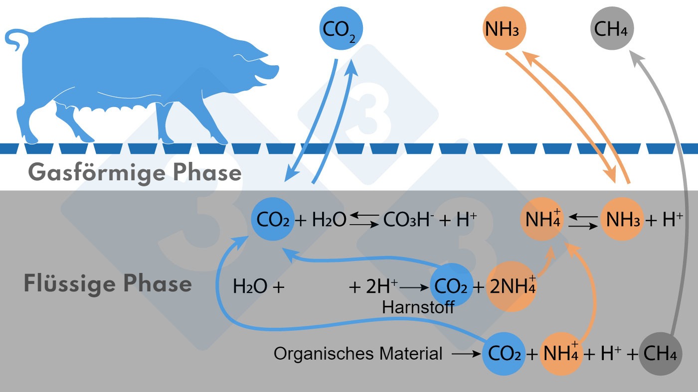 <p>Abbildung 1: Vereinfachte Darstellung der Reaktionen, die die NH3- und CH4-Emissionen beeinflussen.</p>
