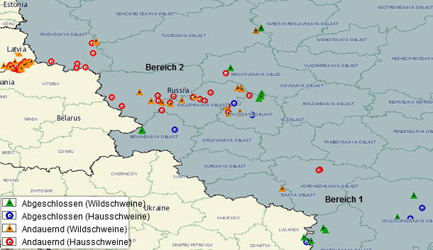 ASF outbreaks in Russia