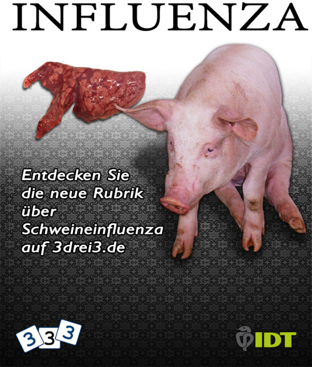 Schweine-Influenza