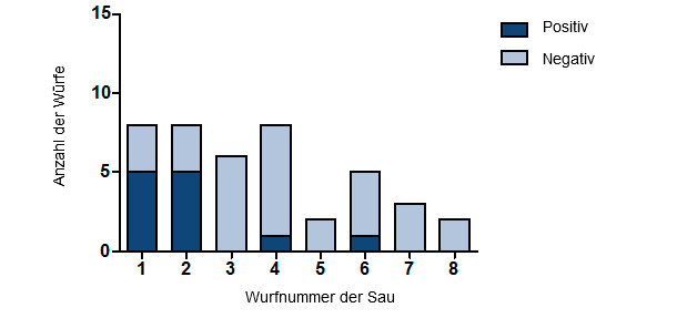 Anzahl der mittels RT-PCR IAV-positiv getesteten Würfe, sortiert nach Wurfnummer der Sau.