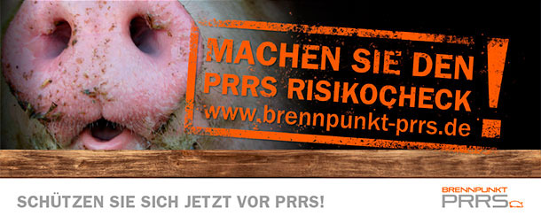 PRRSV-Risikocheck online durchführen und kostenlose Betriebsanalyse sichern