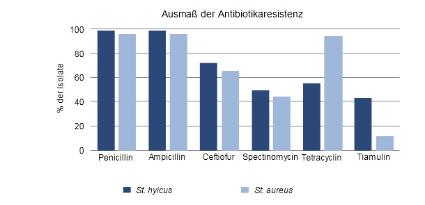 Antibiotikaresistenz von St. hyicus und St. aureus in Prozent