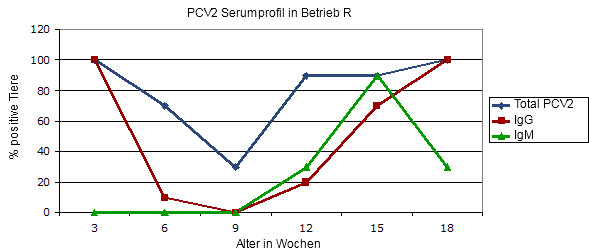 Transversales Serumprofil in einem Betrieb, welcher von einer klinischen Circovirusinfektion befallen ist, bei Ausbleiben einer Impfung.