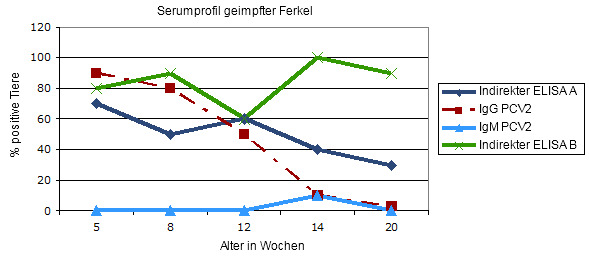 Transversales Serumprofil in gegen PCV2 geimpften Ferkeln beim Absetzen: vergleichende Antwort in zwei indirekten ELISA Tests für Gesamtantikörper.