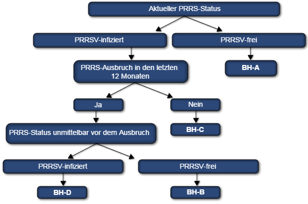 Das PRRSV-Klassifikationssystem für Sauenbestände