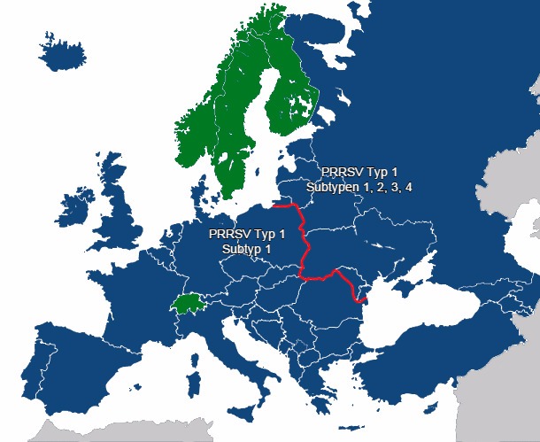 PRRSV-Diversität in Europa