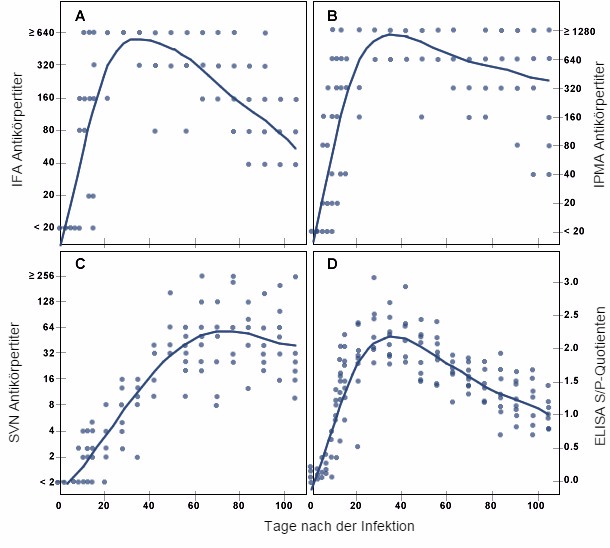 PRRSV-spezifische Antikörperreaktion bei Schweinen im Laufe der Zeit nach experimenteller Infektion